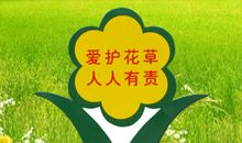 爱护花草树木的宣传标语