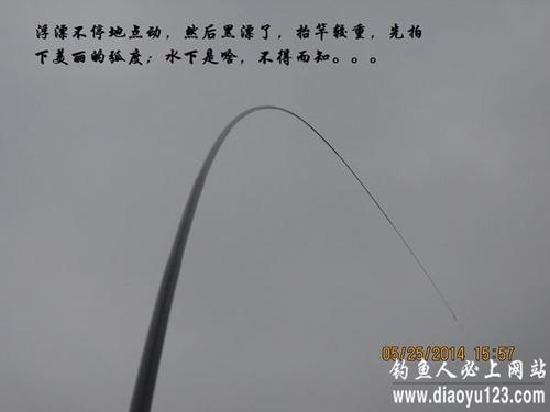 用高射枪扑灭蚊子寓言