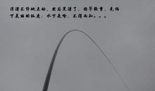 高射炮打蚊子是歇后语