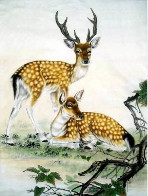 父母也有一个“有效期”，最近十年不应该偷懒