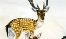 做父母也有“有效期”，最不该偷懒那十年