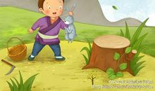 用守株待兔造句