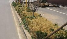 用不声不响造句