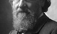 梅契尼科夫名言