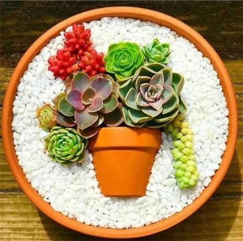 家庭作风是家庭最宝贵的财富