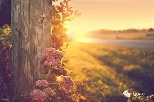 成功人士每天都会问自己8个问题