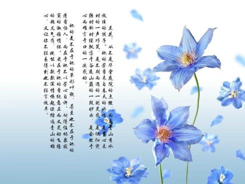 关于兰花的句子