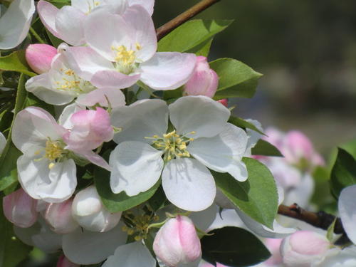 就像春风中的一句话