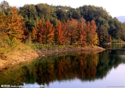 平均分为一个句子