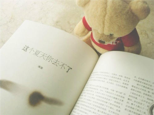 经典短语：因为爱，你可以生存或死亡