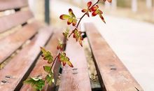 关于志向的诗句