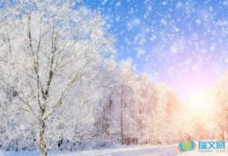 优美的句子描述大雪