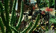 史达祖：绮罗香·咏春雨