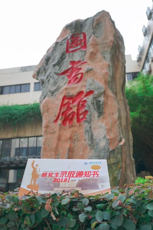 我输了高考,但我仍然过得很开心