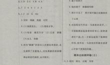 期中语文状元：我对语文学习的一点认识