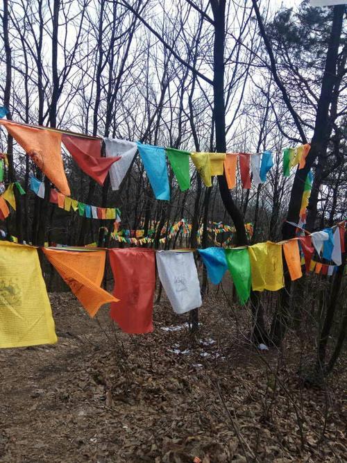 “做梦真好？” “好极了！”