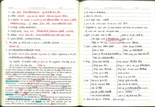 中期英语冠军：我如何学习英语