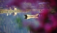 袁去华：瑞鹤仙