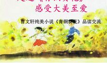 《青铜葵花》读后感