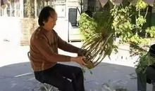 刘亮程：远离村人