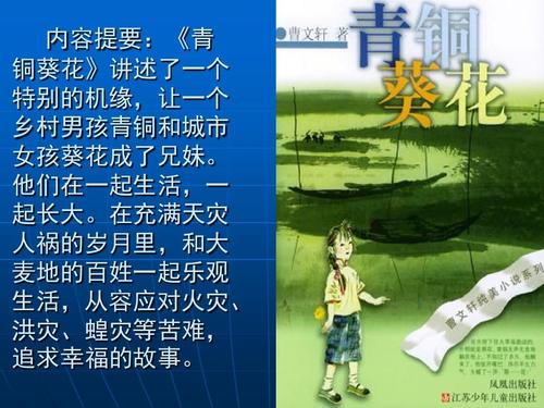 读青铜向日葵的感觉