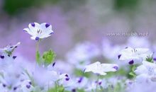 20句话经典人生感悟