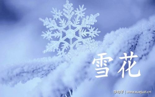 关于雪的诗