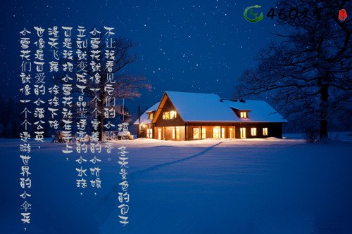 描述冬天树的句子