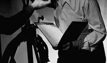 迈克尔·柯蒂斯名言