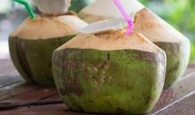 找到自己的椰子