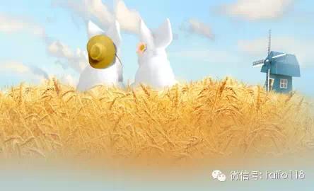 人生感悟：放手是平的