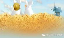 人生感悟：放下即平地