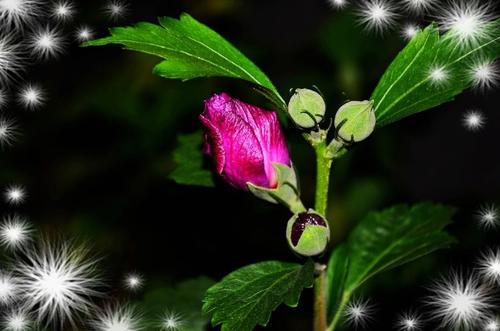 我累了,换种方式