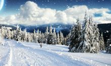 关于冬天的成语