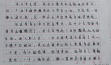 作文我心中的太阳