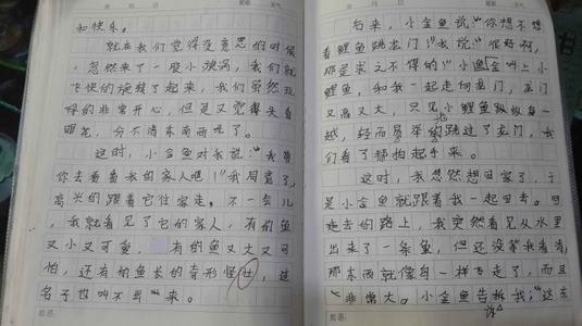 我的小金鱼作文500字