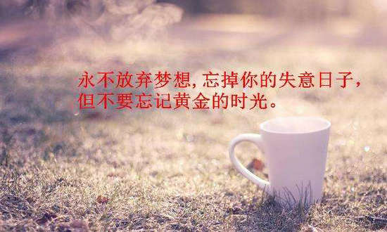 奋斗励志句子,努力奋斗励志句子