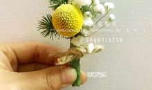 热爱生活的蒙眬