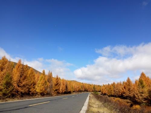 一起走就是命运，一起走就是幸福