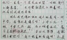 我的小计划作文