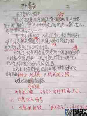 我爱妈妈作文800字