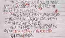 我爱妈妈作文800字