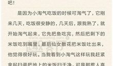 作文动物运动会