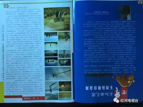 我的小豆芽组成