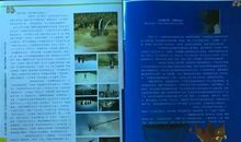 我的小豆芽作文