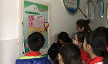 啄木鸟行动作文