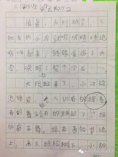 阳光在心脏组成