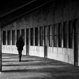 自由就是独立,没有依恋,没有恐惧