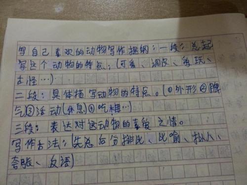 写一篇关于动物的文章