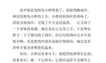 我的动物朋友作文